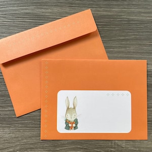 Paquete de sobres - Larry le Lapin