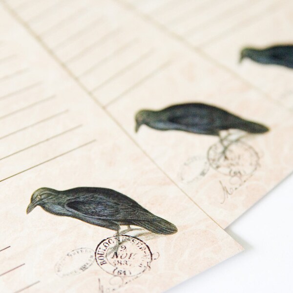 Edgar Allan Poe - A5 Letter Set - 10 sheets 5 envies