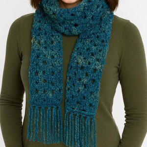 May include: A teal and green crocheted scarf with fringe. The scarf is made of a soft, textured yarn and features an open, lacy design. The scarf is wrapped around the neck.