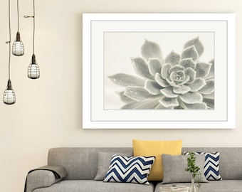 Gray Succulent Print, Digital Download, Home Decor. Gray Grey Neutral Monochrome Flower Photography Print, Black and White