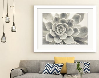 Gray Succulent Print, Digital Download, Home Decor. Gray Grey Neutral Monochrome Flower Photography Print, Black and White