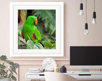 Green Parrot Print, Digital Download, Home Decor. Tropical Bird Photography Print, Happy Mood, Bright, Tropical Rain Forest