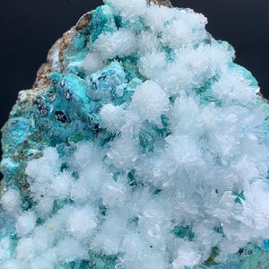 Könnte beinhalten: Nahaufnahme einer Mineralprobe mit türkisfarbener Basis und Clustern weißer, kristalliner Formationen. Das Mineral hat eine raue, strukturierte Oberfläche mit braunen und dunklen Bereichen, die einen auffälligen Kontrast erzeugen.