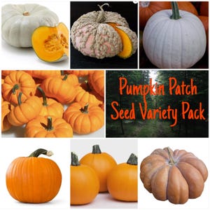 May include: A collection of various pumpkins including white, orange, and textured varieties, with a segment showing bright orange flesh. The image includes the text Pumpkin Patch Seed Variety Pack overlaid on a forest scene with green trees.