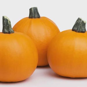 May include: Three orange pumpkins with green stems are arranged against a white background. The pumpkins are round and have a smooth texture. The stems are dark green and slightly textured. The pumpkins are a vibrant orange color.
