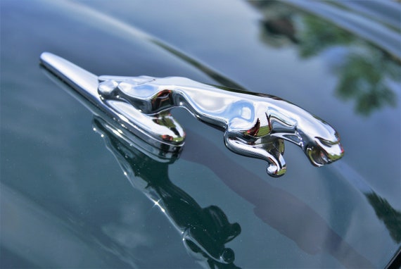 Jaguar Hood Ornament Photo | Etsy
