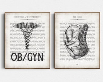 OBGYN Office Decor, Set of 2 OB/GYN Wall Art Print, Thank you Gift for Obstetrician-Gynecologist, Obstetrics, and Gynecology Graduation Gift