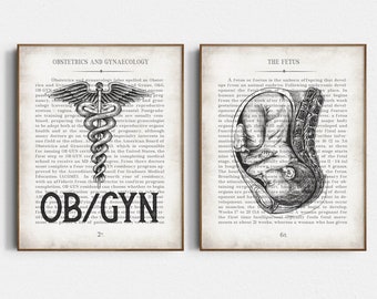 OB/GYN Office Decor Prints: Vintage Anatomy Art Gift Set