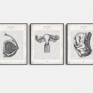 OBGYN Gifts for Doctors, Gynecology, Obstetrician Gift, Doula Gift, Gynecologist Gift, Gynecologist Office Decor, OBGYN Thank You