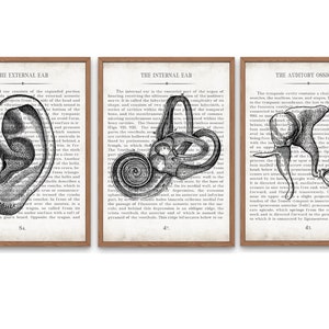 Vintage Ear Anatomy Art Print Set: Audiology Gift