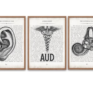 AUD Gift Ear AUD and Inner Ear Vintage Anatomy Art Print Set of 3 Doctor of Audiology Audiologist Graduation Gift image 1