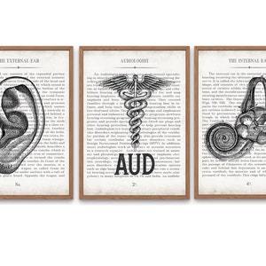 AUD Gift Ear AUD and Inner Ear Vintage Anatomy  Art Print Set of 3 Doctor of Audiology Audiologist Graduation Gift