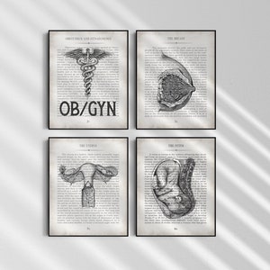 Vintage Anatomy Art Print Set: OB/GYN Office Decor