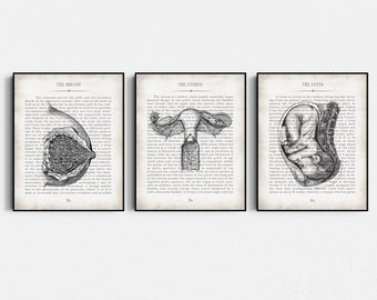 OBGYN Gifts for Doctors, Gynecology, Obstetrician, Doula, Gynecologist Office Decor, Graduation Gift