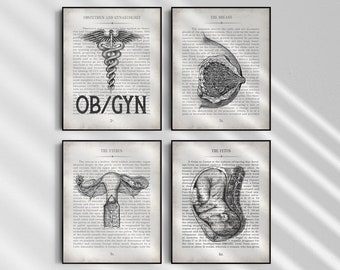 Vintage Anatomy Art Print Set: OB/GYN Office Decor, Graduation Gift