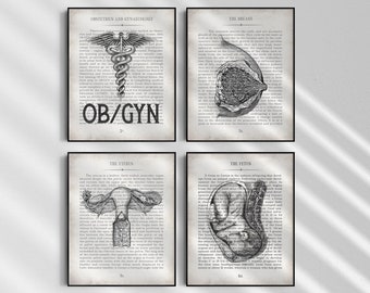 OBGYN Vintage Anatomy Wall Art Print Set of 4, ob-gyn office decor, OB/GYN Medical Student Graduation Gift, Obstrician Appreciation Gift