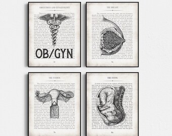 OB-GYN Gift, OBGYN Vintage Anatomy Art Print Set of 4, Graduation Gift for Obstetrician-Gynecologist, ob/gyn Wall Art, ob Office Decor