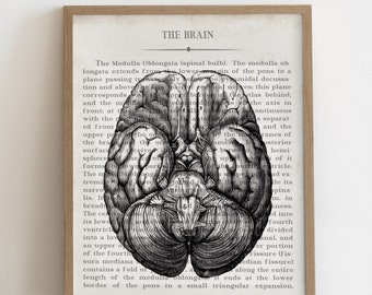 Brain Art Vintage Anatomy Art Print Neurologist Neuroscience Graduation Gift and Office Decor