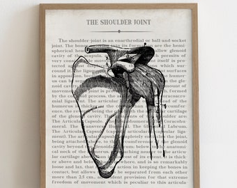 Shoulder Vintage Anatomy Art Print Unique Orthopedic Surgeon Gift