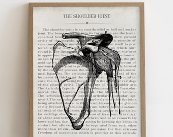 Vintage Shoulder Anatomy Art Print: Orthopedic Gift