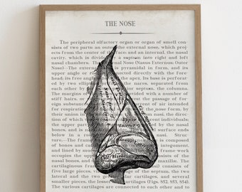 Nose Vintage Anatomy Art Print Gift for ENT Ear Nose and Throat Doctor