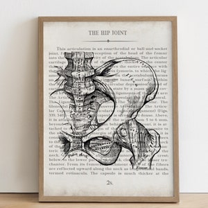 Hip Vintage Anatomy Art Print Orthopedic Surgeon Physical Therapist Physical Therapy Graduation Gift & Office Decor