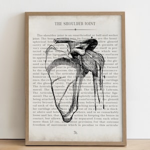 Shoulder Vintage Anatomy Art Print Unique Orthopedic Surgeon Gift