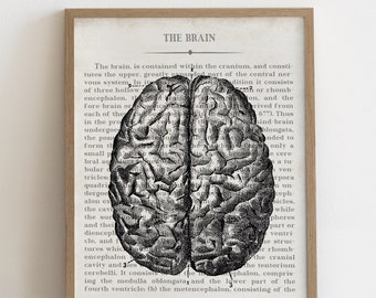 Vintage Brain Anatomy Art Print: Psychology Gift