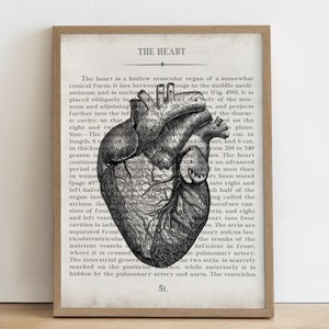 Medical Student Graduation Gift, Anatomical Heart Vintage Anatomy Art Print, Cardiology Office Decor, Cardiologist Wall Art, Gift for Doctor