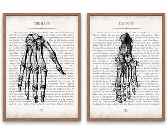 Hand and Foot Vintage Anatomy  Art Print Set of 2 Gift for Physical Therapist Occupational Therapy Orthopedic Surgeon