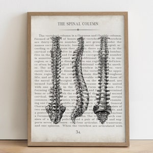 Chiropractor Gift Spine Vintage Anatomy Art Print Unique Chiropractic Art Gift