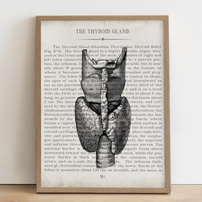 Thyroid Healing Etsy