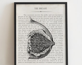 Breast, Vintage Anatomy Art Print, Gift for OBGYN, Gynecologist Office Wall Art, Mammary Art Print, Gift for Gynecologist, OB Office Decor