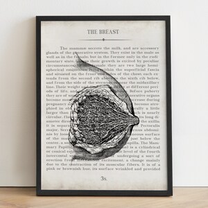 Breast, Vintage Anatomy Art Print, Gift for OBGYN, Gynecologist Office Wall Art, Mammary Art Print, Gift for Gynecologist, OB Office Decor image 1