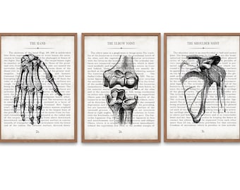 Hand Elbow Shoulder Vintage Anatomy Art Print Set of 3 Physical Therapy Gift Orthopedic Surgeon Gift