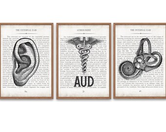 AUD Gift Ear AUD and Inner Ear Vintage Anatomy  Art Print Set of 3 Doctor of Audiology Audiologist Graduation Gift