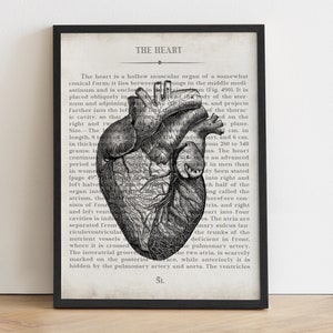 Anatomical Heart Print: Vintage Medical Art for Cardiologists