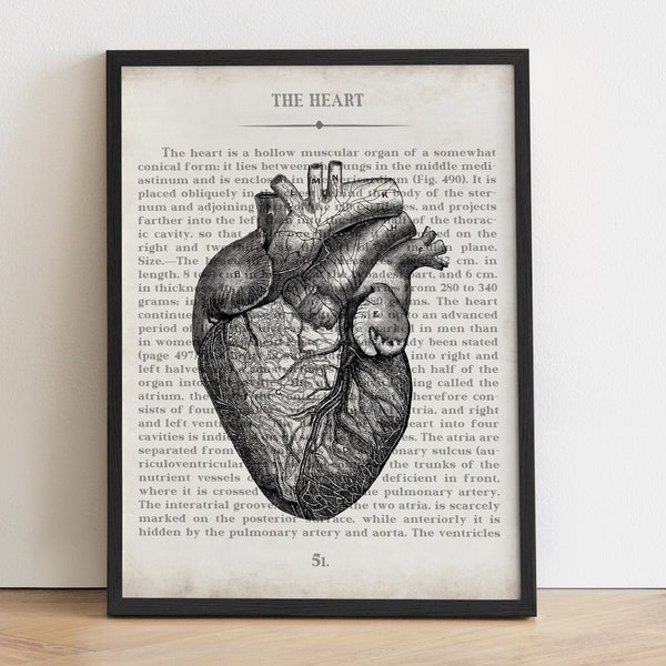 Anatomical Heart, Vintage Anatomy Art Print, Cardiologist Wall Art, Medical School Student Graduation Gift, Cardiology Office Decor