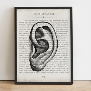 Vintage Ear Anatomy Art Print: Audiology Gift, Doctor Office Decor
