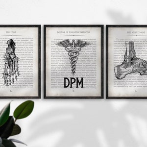 Podiatrist Gift Ankle DPM and Foot Vintage Anatomy  Art Print Set of 3 Podiatry Graduation Gift & Office Decor