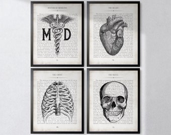 Doctor Gift, MD and Vintage Anatomy Wall Art Print Set of 4, Graduation and Thank You Gift for Doctor