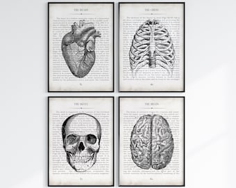 Medical Art, Set of 4 Vintage Anatomy Wall Art Prints, Doctor Office Decor, Medical Student Gift, Vintage Medical Art Print Office Decor