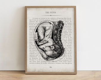 OBGYN Gift, Fetus Art Print, Obstetrics Gynecologist Wall Art, OB/GYN Office Decor, Labor and Delivery Nurse Gift, Midwife Appreciation