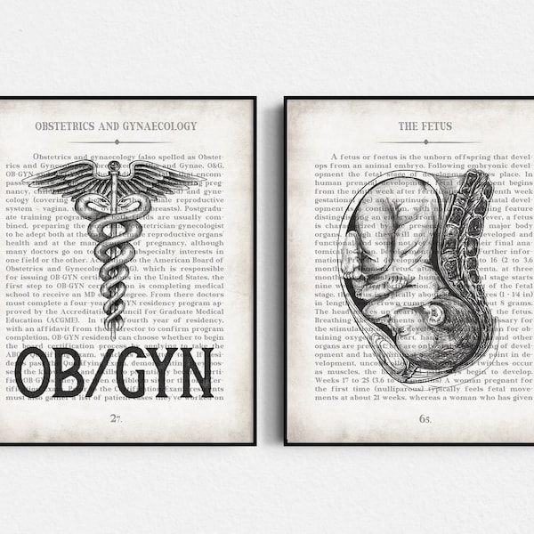Obgyn Art - Etsy