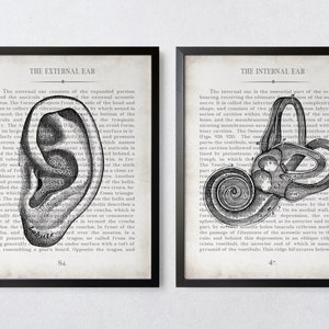 Vintage Ear Anatomy Art Print Set: Audiologist Gift, Office Decor