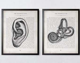 Ear and Inner Ear Vintage Anatomy  Art Print Set of 2 Audiology Audiologist Graduation Gift & Office Decor