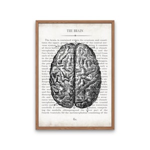 Vintage Brain & Spine Anatomy Art Print Set: Neurology Gift - Etsy