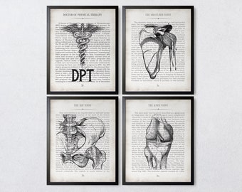 Physical Therapy DPT Vintage Anatomy  Art Print Collection of 4 Physical Therapy Graduation Gift