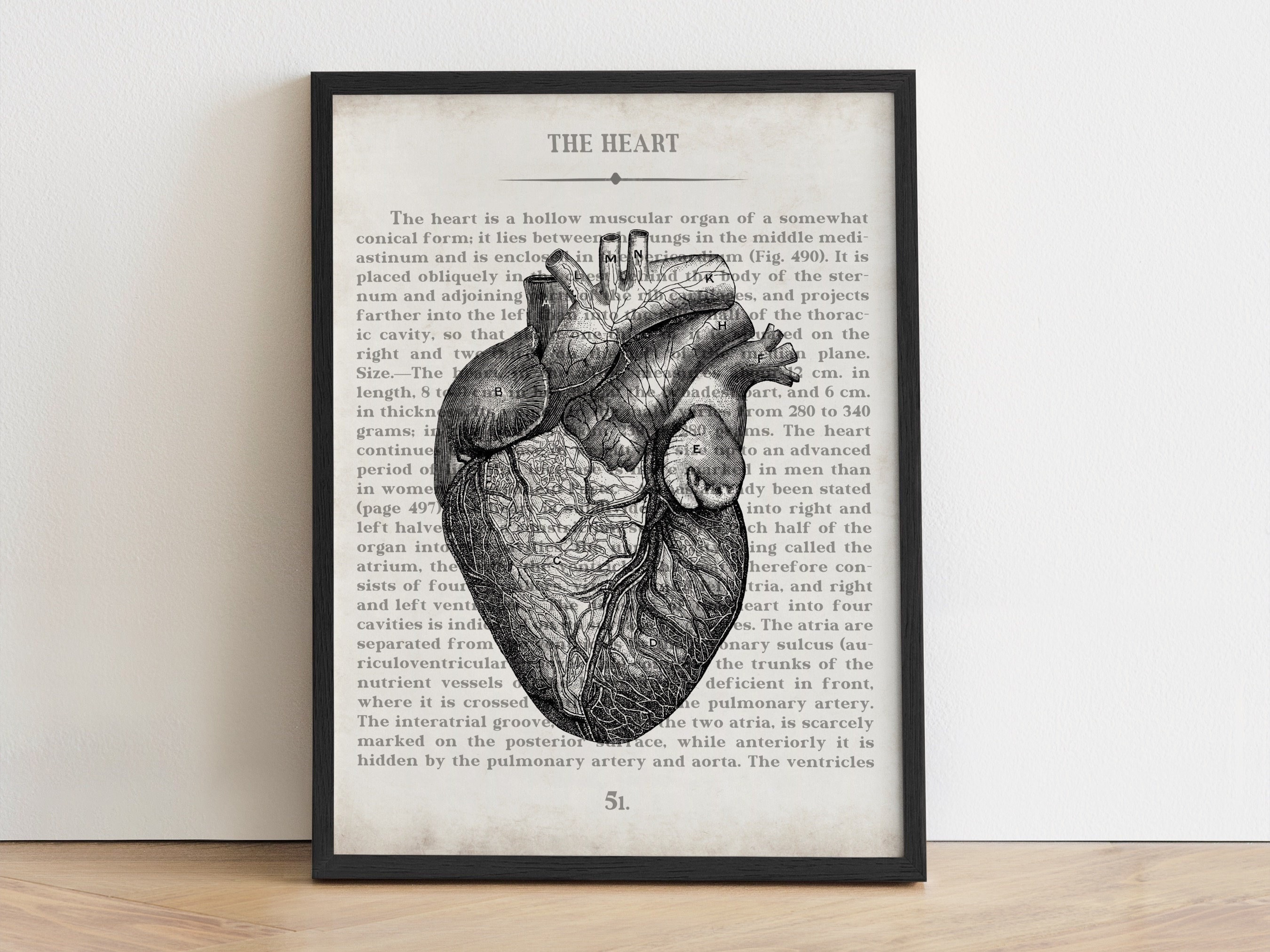 Home Decor Mens Room Decorations for Bedroom Heart Arteries and Veins of  The Human Body Biology Poster Medical Science Watercolor Printable Wall  Decor