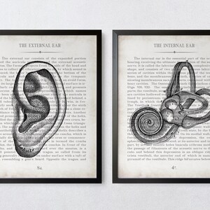 Ear Art Ear and Inner Ear Vintage Anatomy Art Print Set of 2 Audiology Audiologist Office Decor and Graduation Gift Bild 7